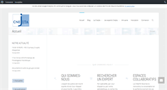 Desktop Screenshot of cnejita.org